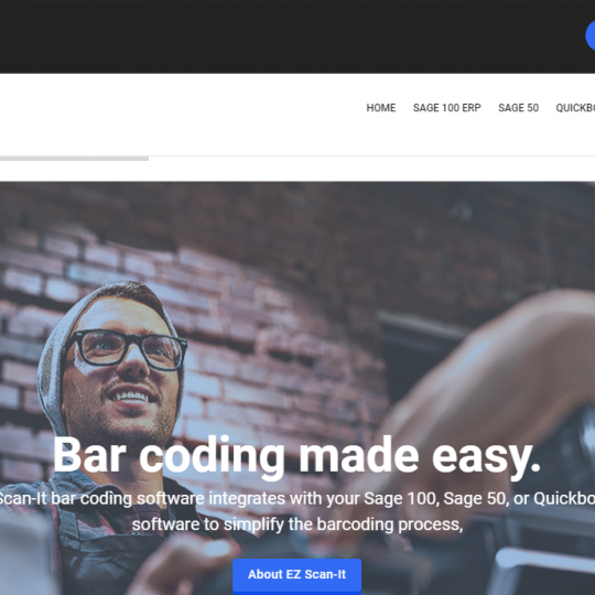 Ez Scan Programming Software Portfolios Archive - Blufoxtech