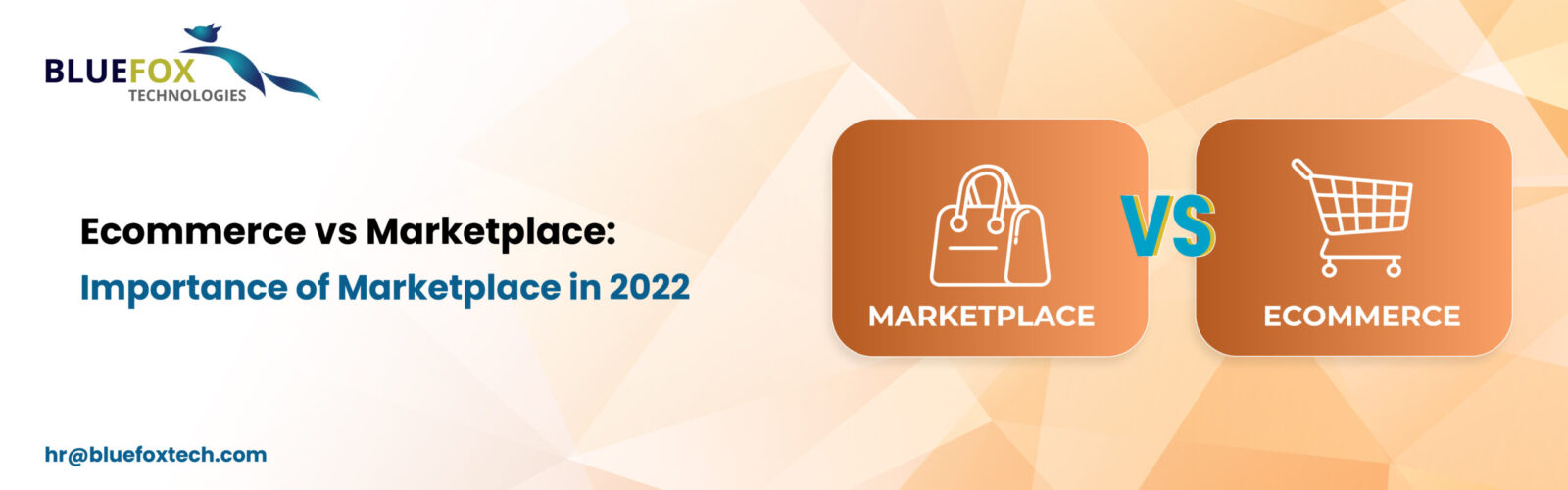 Ecommerce vs Marketplace